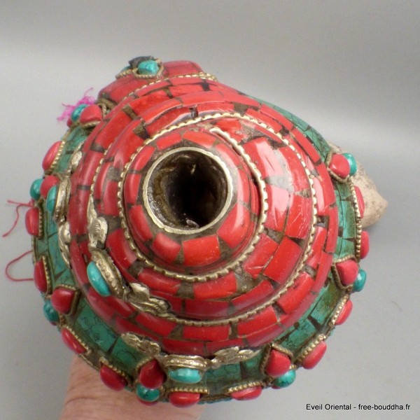 Authentique Conque tibétaine de cérémonie 1,2 kg Objets rituels bouddhistes 4046.24