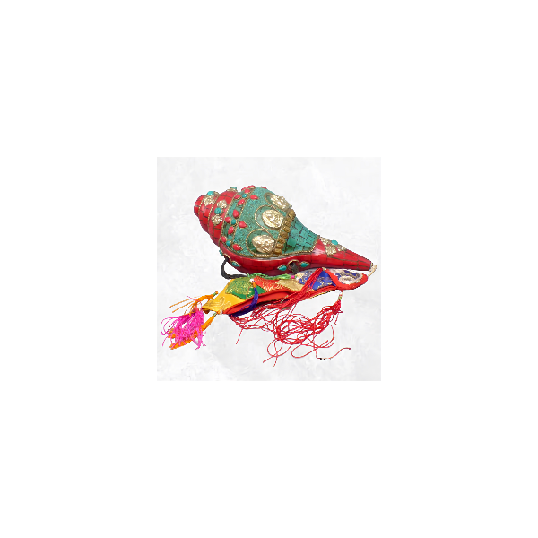Authentique Conque tibétaine de cérémonie 1,2 kg Objets rituels bouddhistes 4046.24