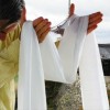Lot de 24 khatas tibétaines blanches