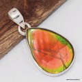 Pendentif Ammolite authentique verte-orange du Canada AAA et Argent 925