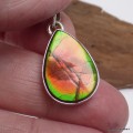 Pendentif Ammolite authentique verte-orange du Canada AAA et Argent 925