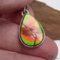 Pendentif goutte en Ammolite du Canada - Pendentifs pierres naturelles