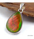 Pendentif goutte en Ammolite du Canada