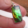 Pendentif Ammolite – Pierre du Canada qualité AAA en argent 925