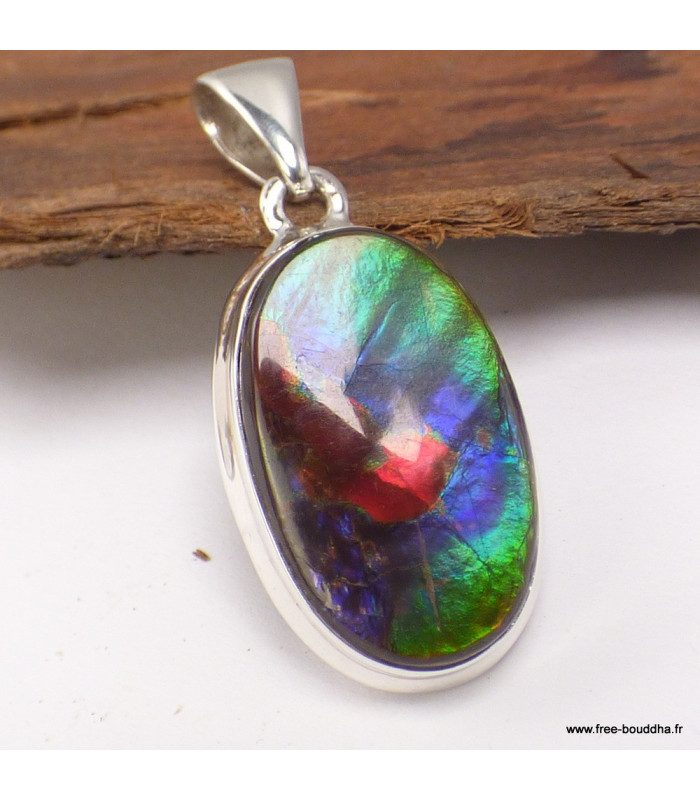 Exceptionnelle Ammolite tricolore du Canada