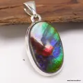 Exceptionnelle Ammolite tricolore du Canada - Pendentifs pierres naturelles