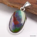 Exceptionnelle Ammolite tricolore du Canada - Pendentifs pierres naturelles