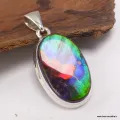Exceptionnelle Ammolite tricolore du Canada - Pendentifs pierres naturelles