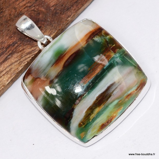 Rare Pendentif Bois Pétrifié de Colla - Turquie