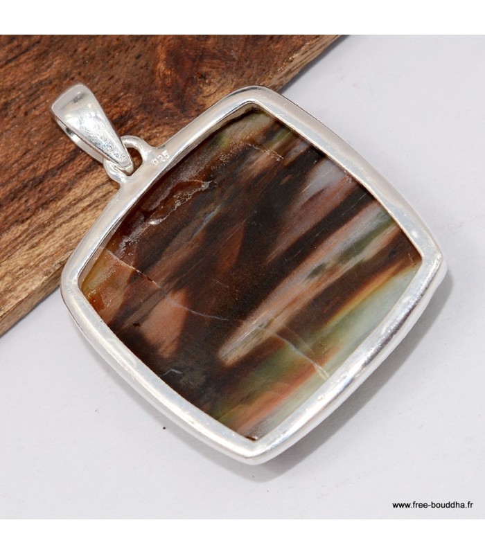 Rare Pendentif Bois Pétrifié de Colla - Turquie