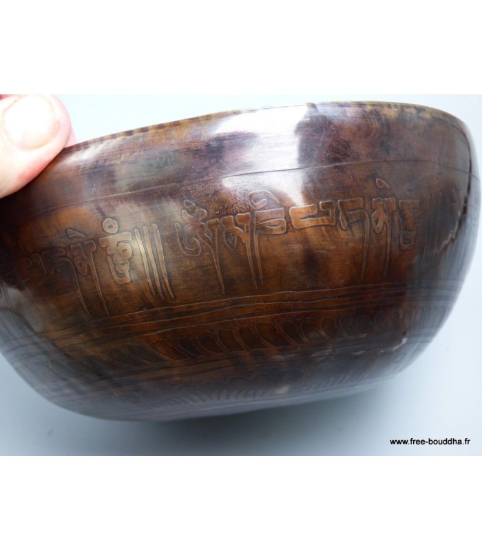 Unique et Authentique Bol tibétain de Temple 17,5 cm