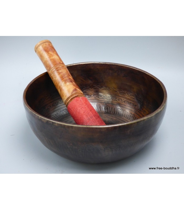 Unique et Authentique Bol tibétain de Temple 17,5 cm