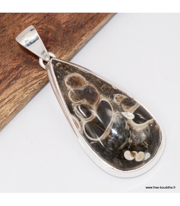 Pendentif Jaspe Tortue Turtella argent 925 pierre naturelle certifiée