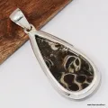 Pendentif argent Jaspe Tortue - Turtella - Bijoux en Jaspe Tortue - Turtella