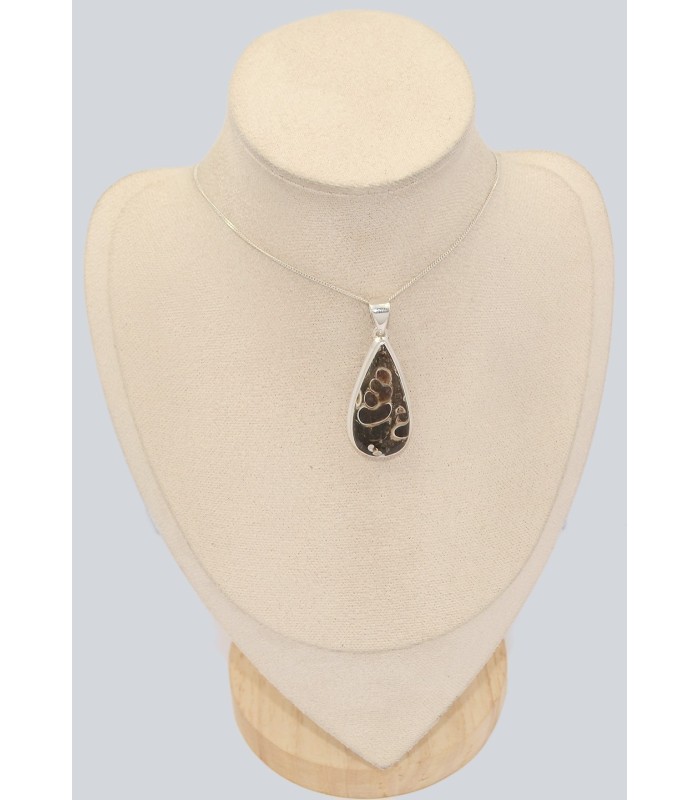 Pendentif argent Jaspe Tortue - Turtella