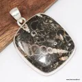 Gros Pendentif argent Jaspe Tortue - Turtella - Bijoux en Jaspe Tortue - Turtella