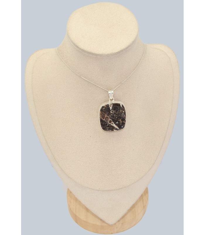 Gros Pendentif argent Jaspe Tortue - Turtella