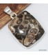 Pendentif Jaspe Tortue - Turtella - Argent 925