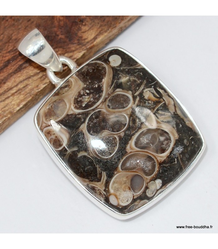 Pendentif Jaspe Tortue - Turtella - Argent 925