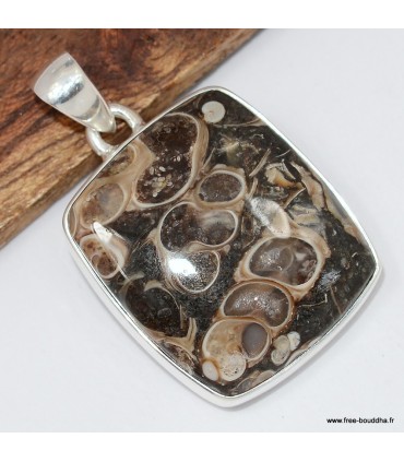 Pendentif Jaspe Tortue Turtella argent 925 ovale certificat inclus