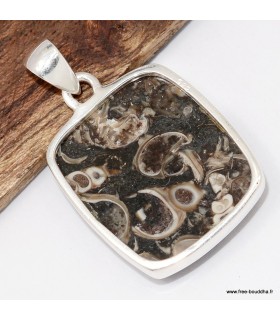 Pendentif Jaspe Tortue Turtella argent 925 ovale certificat inclus