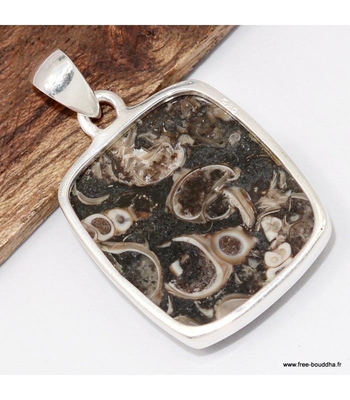 Pendentif Jaspe Tortue - Turtella - Argent 925