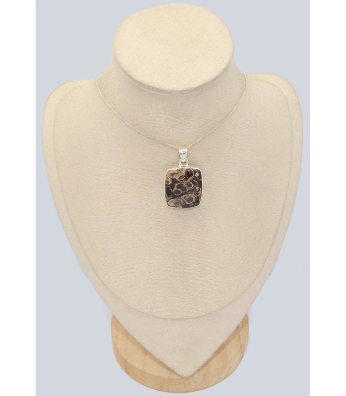 Pendentif Jaspe Tortue - Turtella - Argent 925