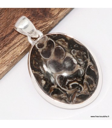 Pendentif Jaspe Tortue Turtella argent 925 ovale certificat inclus