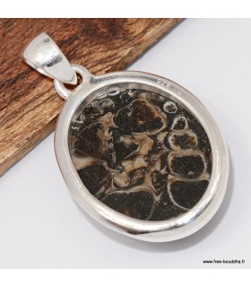 Pendentif Jaspe Tortue Turtella argent 925 ovale certificat inclus