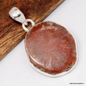 Pendentif Authentique corail rouge corné - Taille tranche - Bijoux en Corail