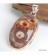Pendentif Jaspe Oeil d'Oiseau mexicain rouge brun