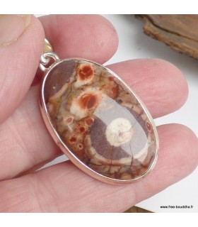 Pendentif Jaspe Œil d’Oiseau du Mexique – Bijou argent 925