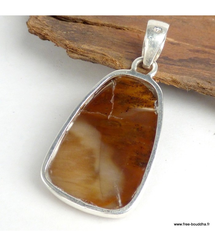 Pendentif Goutte en Bois pétrifié