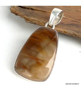 Pendentif argent et bois pétifié, élégant et certifié.