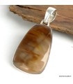 Pendentif Bois pétrifié fossilisé USA – Argent 925 massif avec certificat
