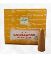 Encens Bois de santal en cônes - Satya pour purification