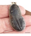 Pendentif Trilobite fossile, argent 925, bijou rare et authentique