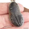 Pendentif argent Trilobite (pierre fossile) - Pendentifs pierres naturelles