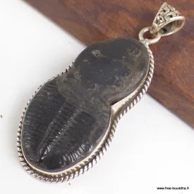Pendentif argent Trilobite (pierre fossile) - Pendentifs pierres naturelles