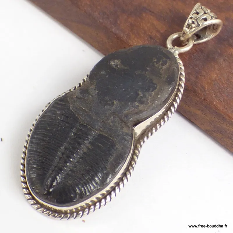 Pendentif argent Trilobite (pierre fossile) - Pendentifs pierres naturelles