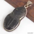 Pendentif argent Trilobite (pierre fossile) - Pendentifs pierres naturelles