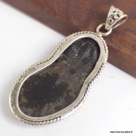 Pendentif argent Trilobite (pierre fossile) - Pendentifs pierres naturelles
