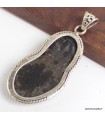 Pendentif Trilobite fossile, argent 925, bijou rare et authentique