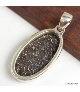 Pendentif Os de dinosaure véritable argent 925