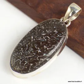 Pendentif oval en Os de dinosaure - Pendentifs pierres naturelles
