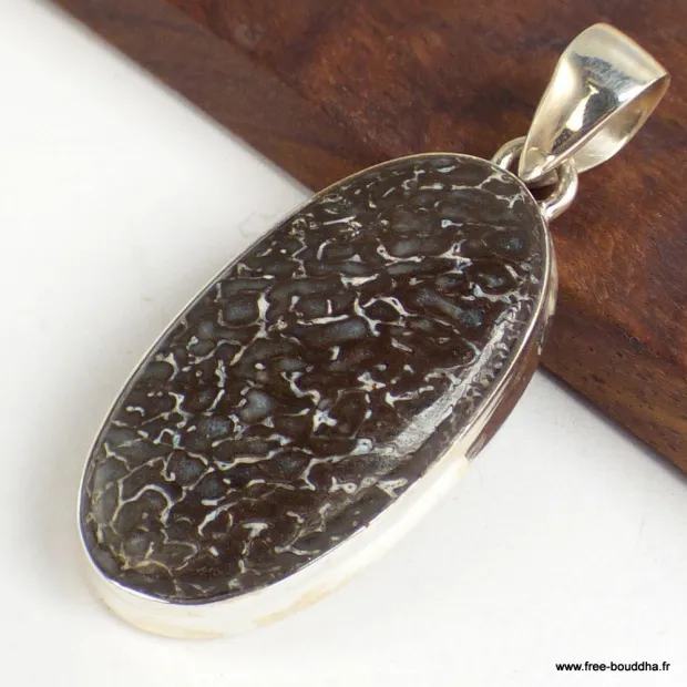 Pendentif oval en Os de dinosaure - Pendentifs pierres naturelles