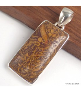 Pendentif Jaspe Coquina rectangulaire, argent 925 bijou énergétique
