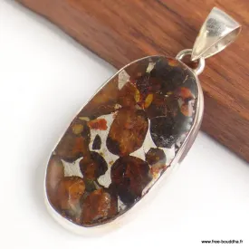 Gros Pendentif Authentique Pallasite forme ovale - Bijoux en Pallasite