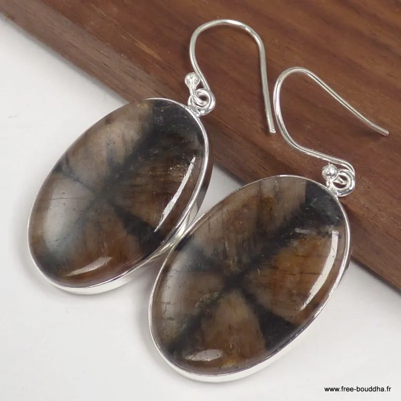 Boucles d'oreilles Chiastolite Andalousite ovales - Bijoux en Chiastolite