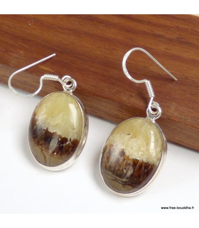 Boucles d’oreilles véritables Septaria ovales argent 925